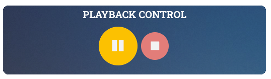 9_PlaybackControls_Pause.png