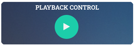 2_PlaybackControl_Start.png