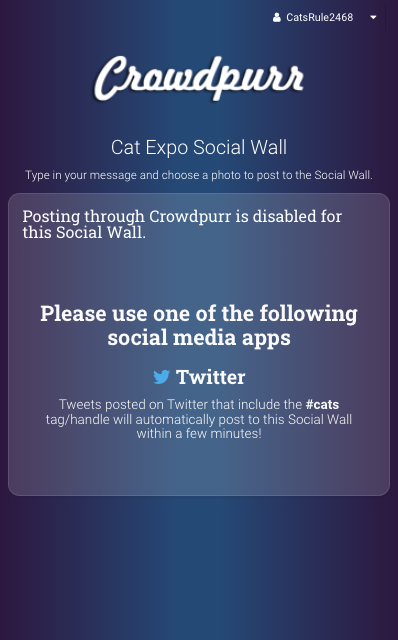 4_MV_Twitter.png