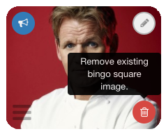 Edit_Panel_-_Remove_Image.png